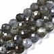 Natural Labradorite Beads Strands&nbsp;G-T108-61-1