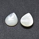 Shell Cabochons&nbsp;SSHEL-E567-24E-1