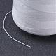 Polyester Thread&nbsp;OCOR-WH0001-18-3