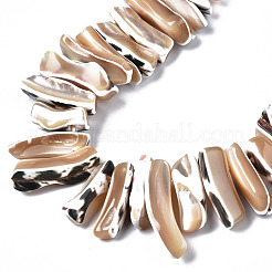 Natural Trochid Shell/Trochus Shell Beads Strands&nbsp;SSHEL-T014-41B
