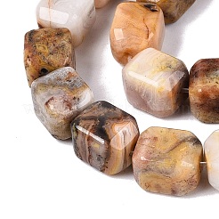 Natural Crazy Agate Beads Strands&nbsp;G-Q608-10B