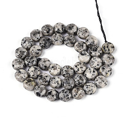 Natural White Jade Beads Strands&nbsp;G-T143-16O