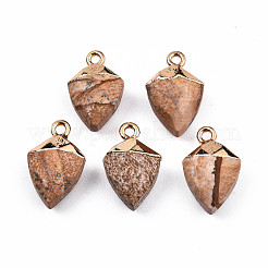 Natural Picture Jasper Pendants&nbsp;G-N326-134-07