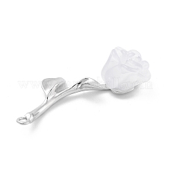 Alloy Resin Pendants&nbsp;FIND-M078-03A-02