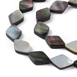 Natural Black Lip Shell Beads Strands&nbsp;SHEL-M018-16