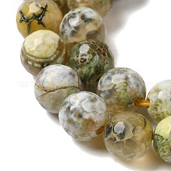 Dyed & Heated Natural Fire Crackle Agate Beads Strands&nbsp;G-P539-C01-03
