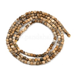 Natural Picture Jasper Beads Strands&nbsp;G-P457-B01-52
