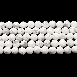 Natural Howlite Beads Strands&nbsp;X-G-E608-A01-B