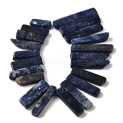 Natural Sodalite Beads Strands&nbsp;G-S386-D19