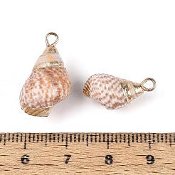 Electroplate Natural Sea Shell Pendants&nbsp;SSHEL-T018-12