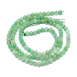 Natural Chrysoprase Beads Strands&nbsp;G-G106-C01-02