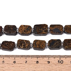 Natural Bronzite Beads Strands&nbsp;G-C098-A39-01