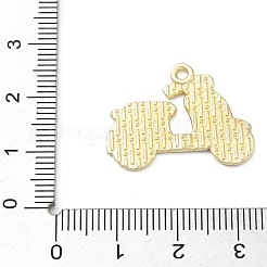 Alloy Enamel Pendants&nbsp;AL-CBA4666-01B-05