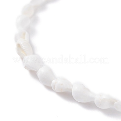 Natural Trumpet Shell Beaded Anklet for Women&nbsp;AJEW-AN00470