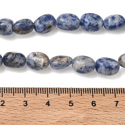 Natural Blue Spot Jasper Beads Strands&nbsp;G-C286-A01