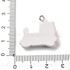 Opaque Resin Pendants&nbsp;RE-CBA5B90-04A