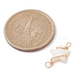 2Pcs 2 Styles Natural Freshwater Shell Copper Wire Wrapped Connector Charms&nbsp;PALLOY-JF02439