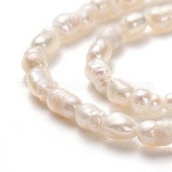 Natural Cultured Freshwater Pearl Beads Strands&nbsp;PEAR-J005-56-01