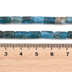 Natural Apatite Beads Strands&nbsp;G-F832-B09-01