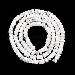 Natural Howlite Beads Strands&nbsp;G-G345-C01-2x4mm