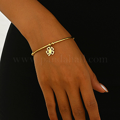 Stainless Steel Charm Bangles&nbsp;DX7193