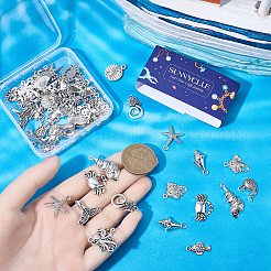 60Pcs Tibetan Style Zinc Alloy Pendants&nbsp;FIND-SC0021-92B