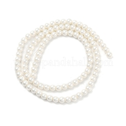 Round Shell Pearl Beads Strands&nbsp;BSHE-XCP0001-40A