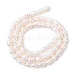 Natural Cultured Freshwater Pearl Beads Strands&nbsp;PEAR-F020-02A