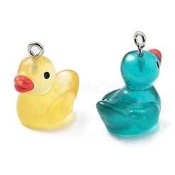 Resin Pendants&nbsp;RESI-S001-01C