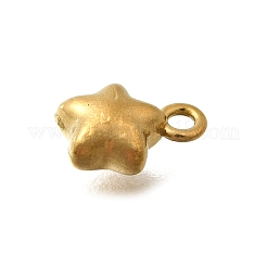 304 Stainless Steel Charms&nbsp;STAS-D310-06G-05
