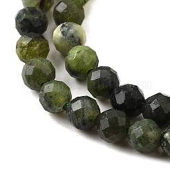 Natural Canadian Jade Beads Strands&nbsp;G-G259-D01-4mm