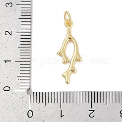 Brass Pendants&nbsp;KK-Q028-66G