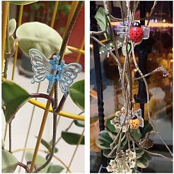 Transparent & Spray Painted Plastic Claw Hair Clips&nbsp;OHAR-GA0001-01