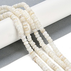Natural Freshwater Shell  Beads Strands&nbsp;BSHE-H109-07