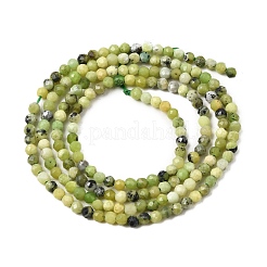Natural Serpentine Beads Strands&nbsp;G-P603-C-2mm-06