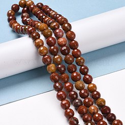 Natural Carnelian Beads Strands&nbsp;G-E571-10B