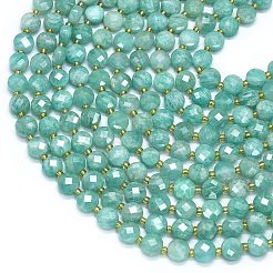Natural Amazonite Beads Strands&nbsp;G-K389-B42-01