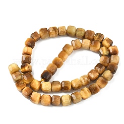 Natural Gold Tiger Eye Beads Strands&nbsp;G-C267-A11