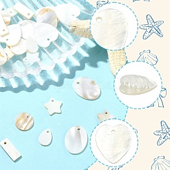 30Pcs 6 Styles Natural Freshwater Shell Pendants Sets&nbsp;SHEL-YW0001-11