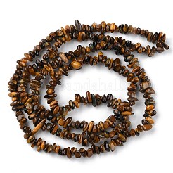 Natural Tiger Eye Beads Strands&nbsp;G-G0003-B22