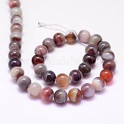 Natural Botswana Agate Beads Strands&nbsp;G-P132-05-10mm