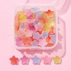 50Pcs Opaque Resin Cabochons&nbsp;RESI-FS0001-57