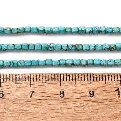 Natural Howlite Beads Strands&nbsp;G-B142-C04-2x2mm