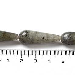 Natural Labradorite Beads Strands&nbsp;G-P528-H04-01