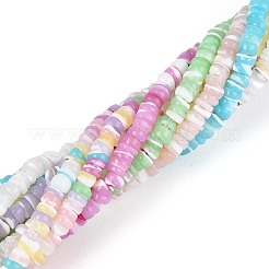 10 Strands 10 Colors Natural Trochid Shell/Trochus Shell Beads Strands&nbsp;SSHEL-N040-21