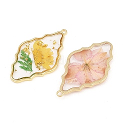 Alloy Resin Pendants&nbsp;RE-CBA591C-02G