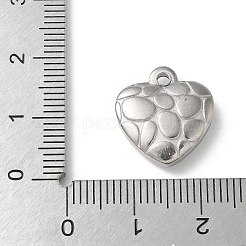 304 Stainless Steel Pendants&nbsp;STAS-I330-017P