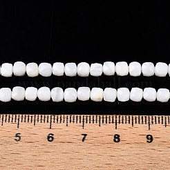 Natural White Shell Beads Strands&nbsp;SSHEL-N038-60