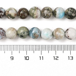 Natural Larimar Beads Strands&nbsp;G-P524-A02-03
