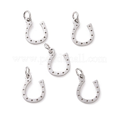 Tarnish Resistant 304 Stainless Steel Charms&nbsp;STAS-S105-T519S